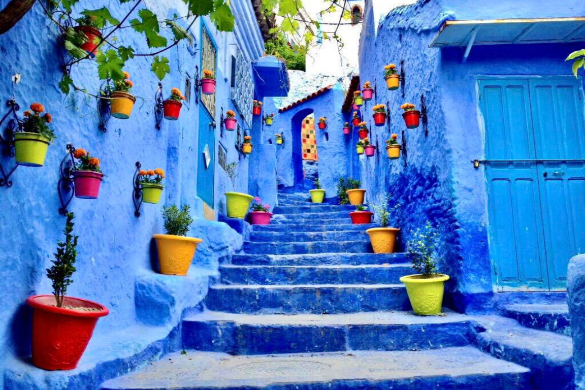 Bright blue alleyway lined with potted plants