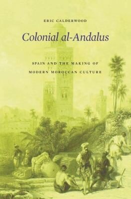 Colonial al-Andalus book cover